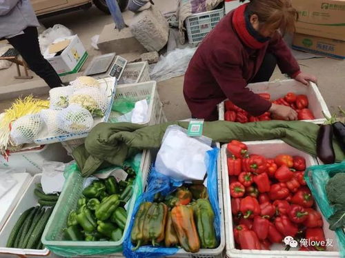 赶黄河大集，寻济南年味——莱芜鲁西大集值得一逛